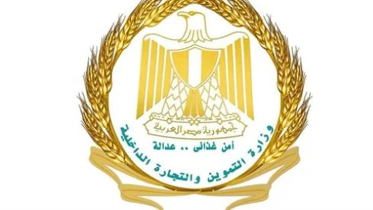 بوابة مصر الرقمية.. كيف أحدثت طفرة تقنية في جودة خدمات بطاقات التموين؟